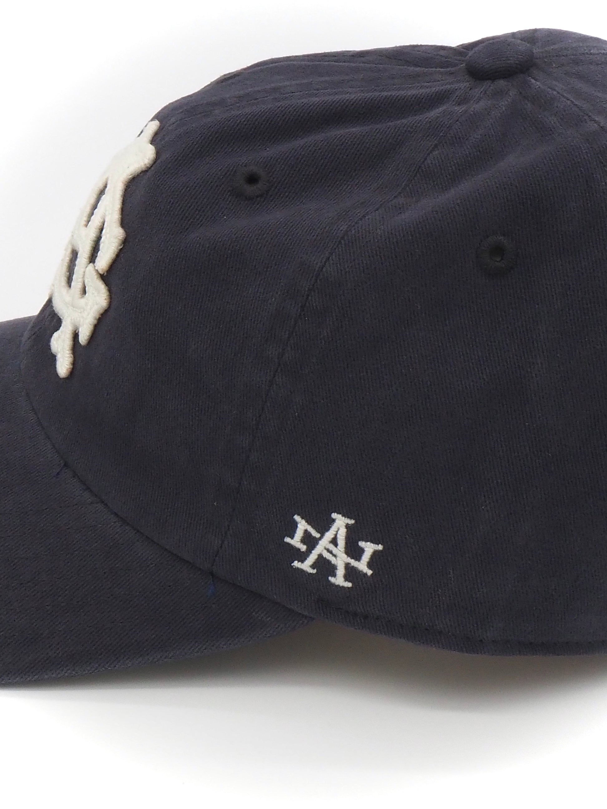 Archive - Chicago American Giants