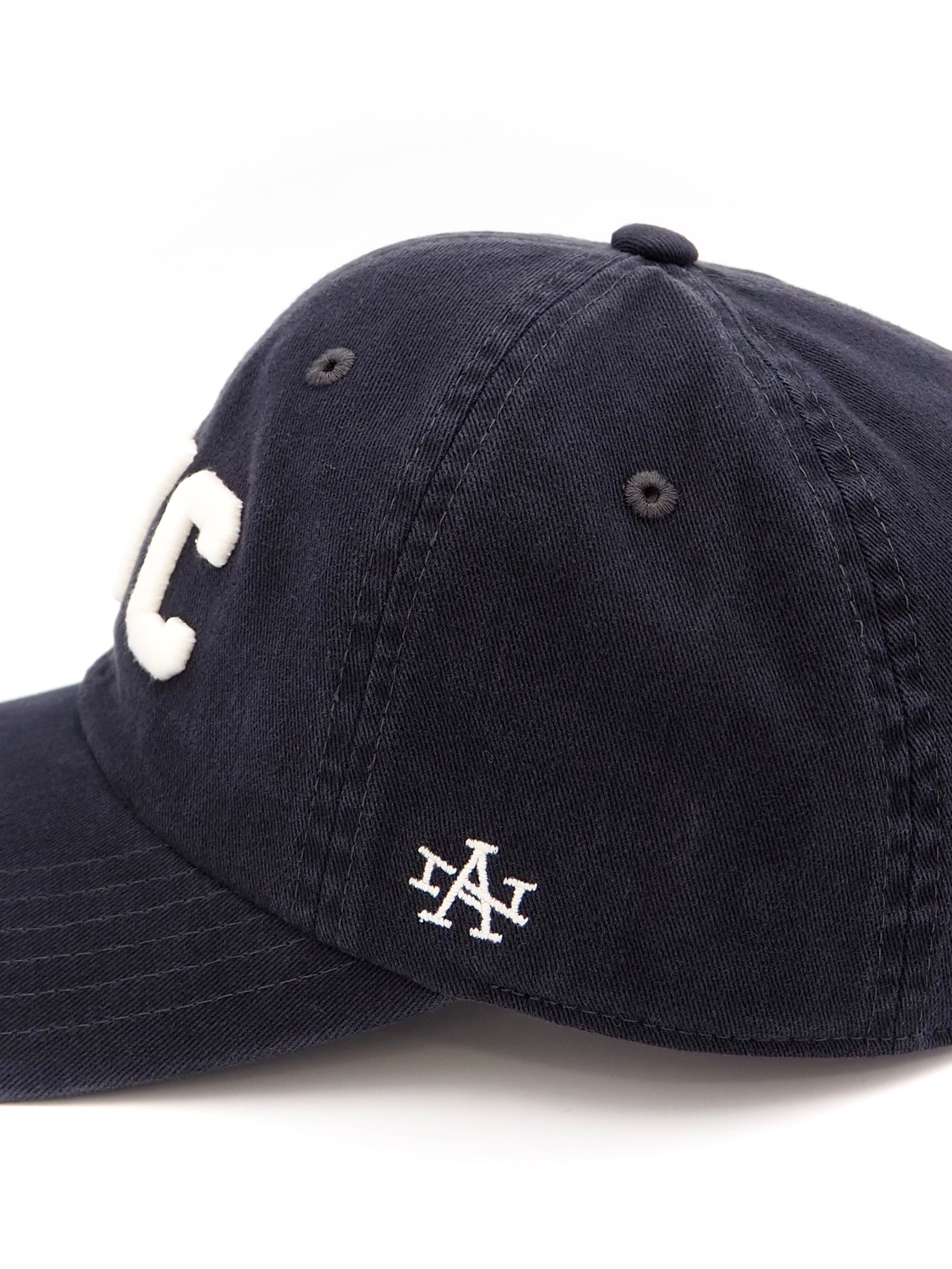 NEW RAGLAN-DESTINATION NY