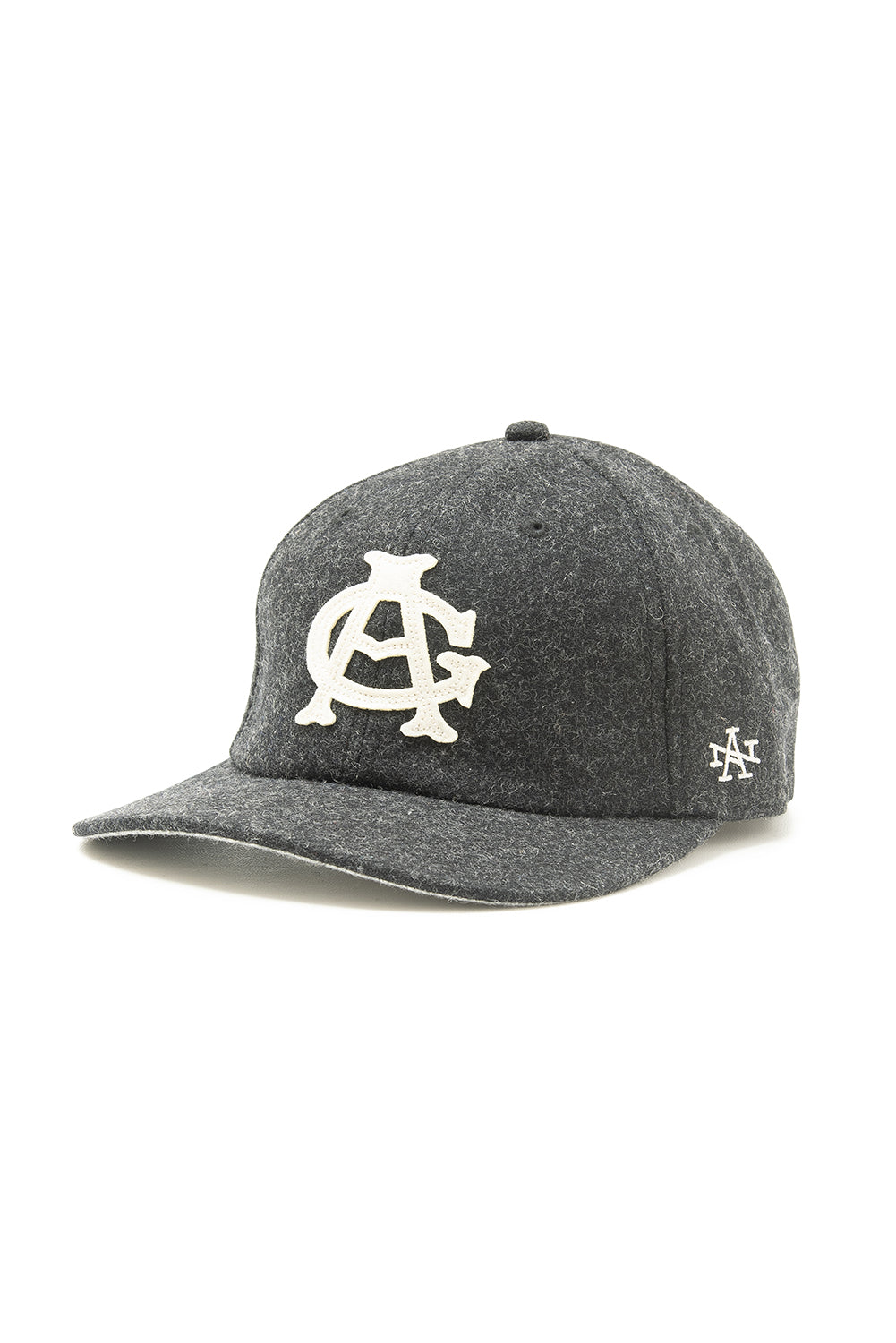 Archive Legend -  CHICAGO AMERICAN GIANTS