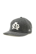 Archive Legend -  CHICAGO AMERICAN GIANTS