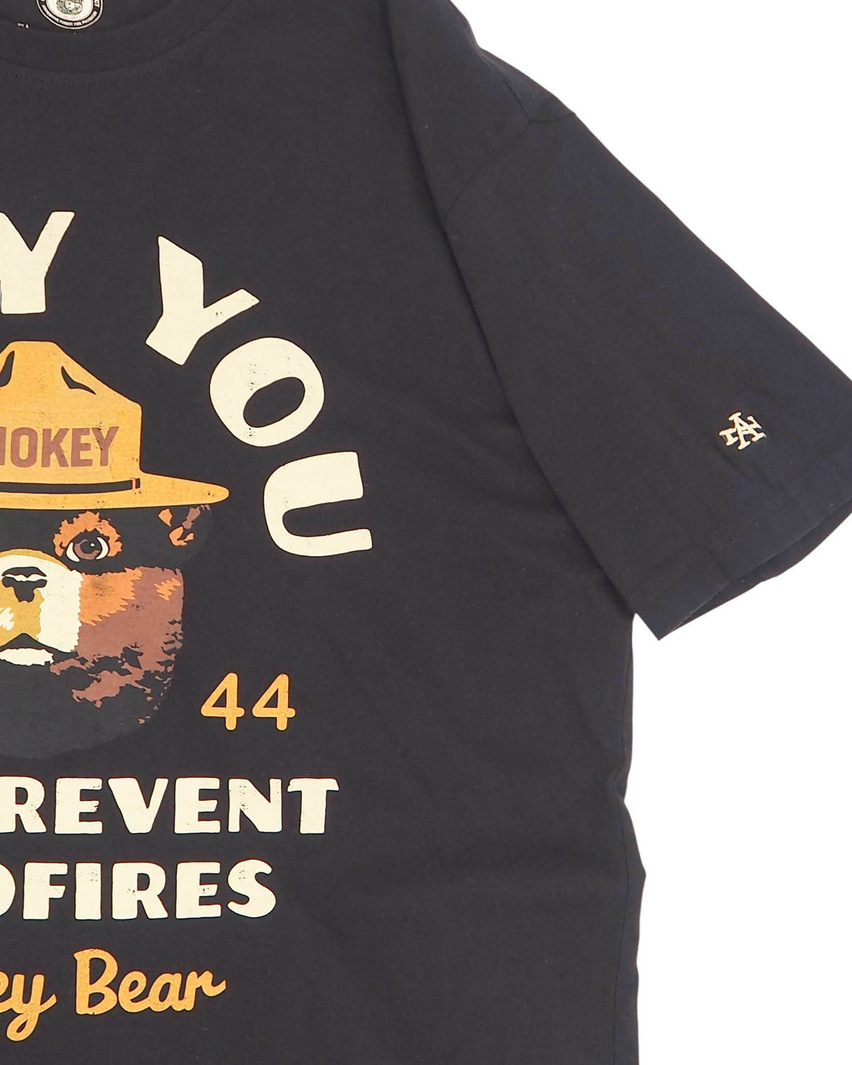 【AMERICAN NEEDLE】Smokey Bear AN BT2